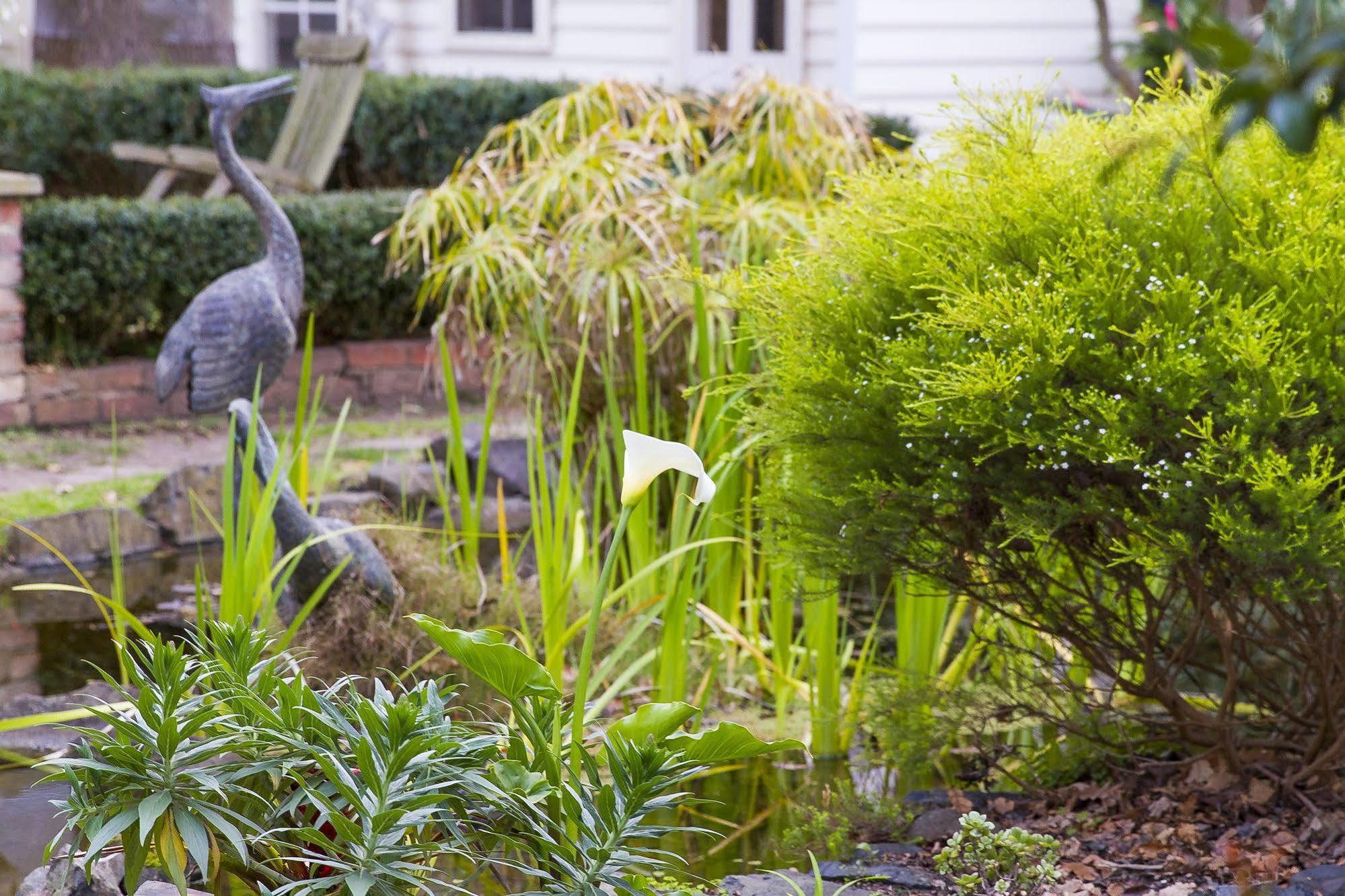 Glen Isla House Bed & Breakfast Phillip Island Cowes Luaran gambar
